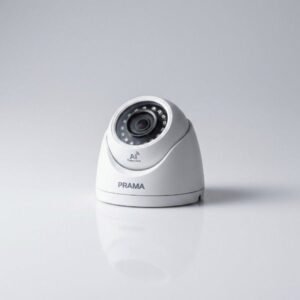 Prama-2MP-Fixed-Turret-Network-Camera-with-AI-Detection-(PT-NC123D3-N-D2)